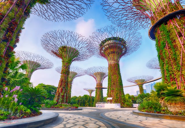 Let Singapore’s Gardens Surprise You