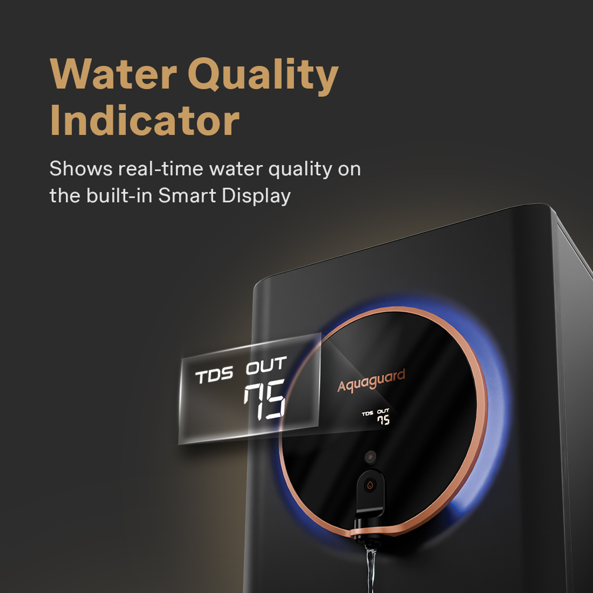 Intelligent Halo Lights and TDS Display